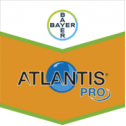 atlantis pro