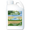 dynamiz
