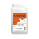 gondor