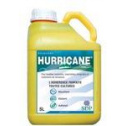 hurricane
