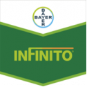 infinito
