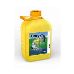 carix