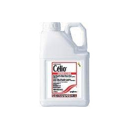 celio dyvel