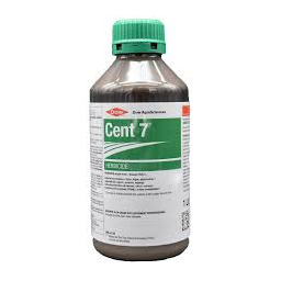 cent
