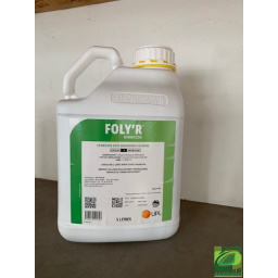 folyr