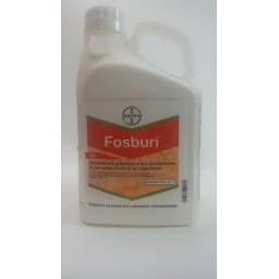 fosburi
