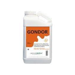 gondor
