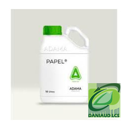 papel
