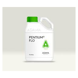 pentium flo