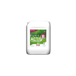 poly activ b
