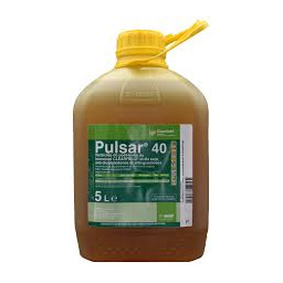 pulsar