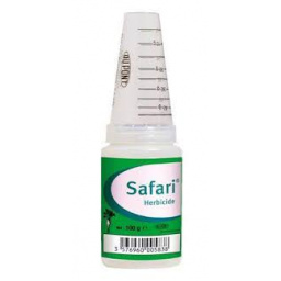 safari