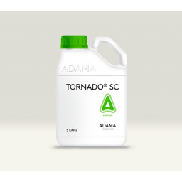 tornado