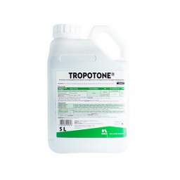 tropotone